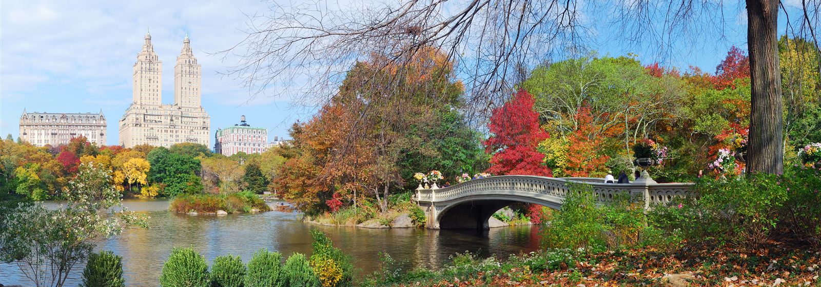 101 Things to Do in New York City — top attractions, tours and things to do